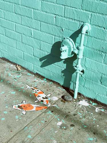 brick two koi fish painting wall